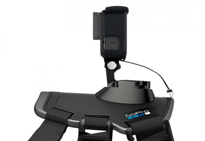 GoPro Fetch Pettorina per Cane