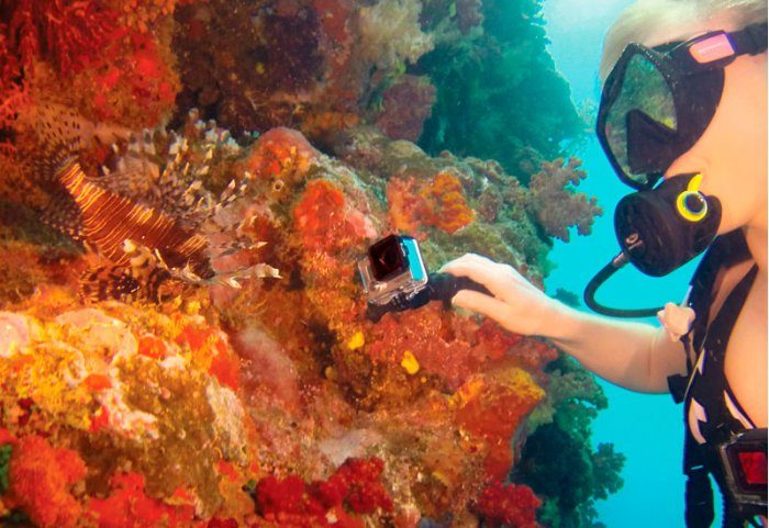 GoPro Gooseneck Supporto Snodato